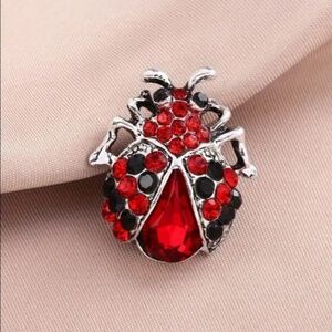 NIP Sparkly Rhinestone Encrusted Black and Red Lady Bug Pin Brooch in Silver!